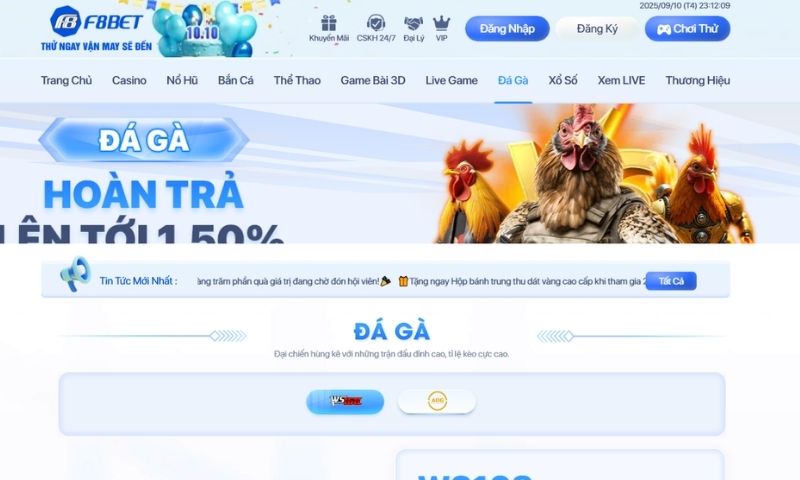F8BET Đá gà – sự hòa quyện giữa nét truyền thống và hiện đại